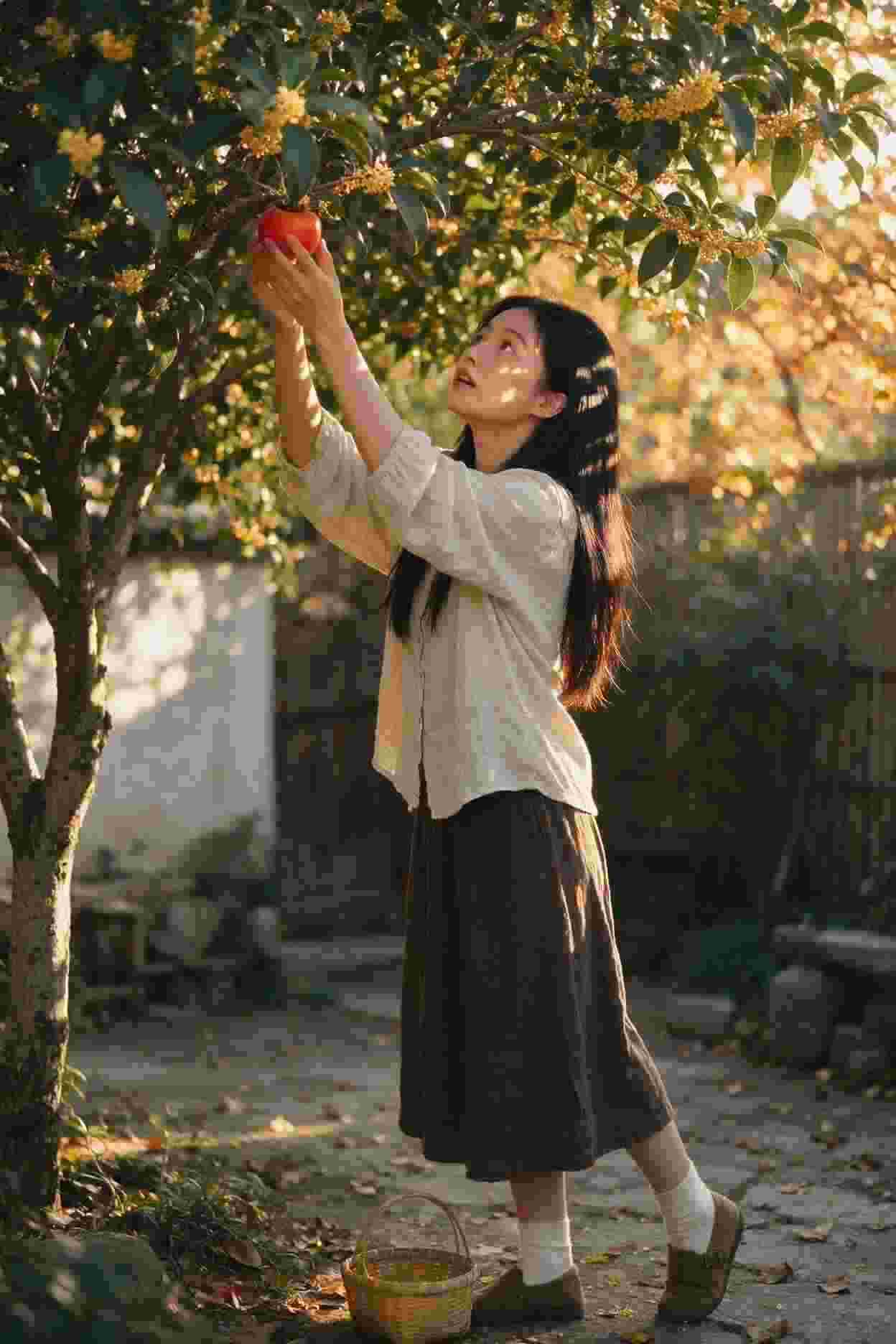 妈妈的决定